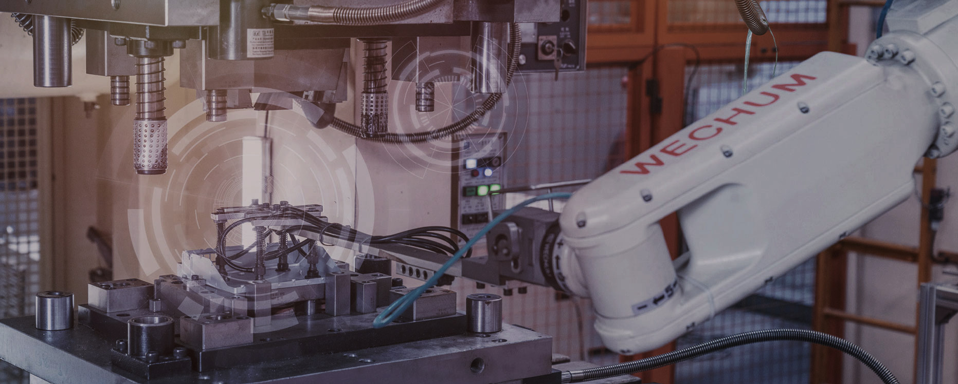 zoty��ŷ��(�й����޹�˾)�ٷ���վ