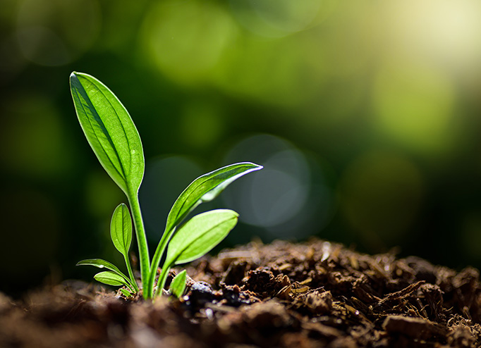 zoty��ŷ��(�й����޹�˾)�ٷ���վ