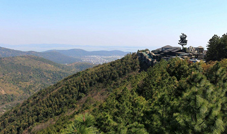 zoty��ŷ��(�й����޹�˾)�ٷ���վ